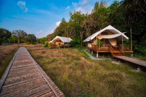 Cardamom Culture Travel Guide: Khmer Traditions, Eco-Tours & Costs